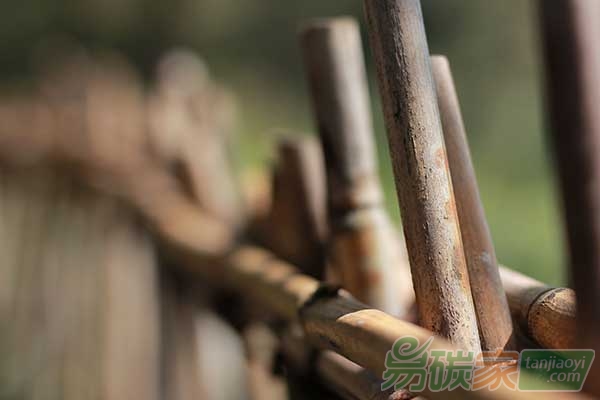 應(yīng)對氣候變化：拆解責(zé)任上的國家籬笆
