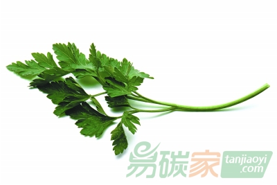 升級(jí)版人造樹(shù)葉可高效除二氧化碳