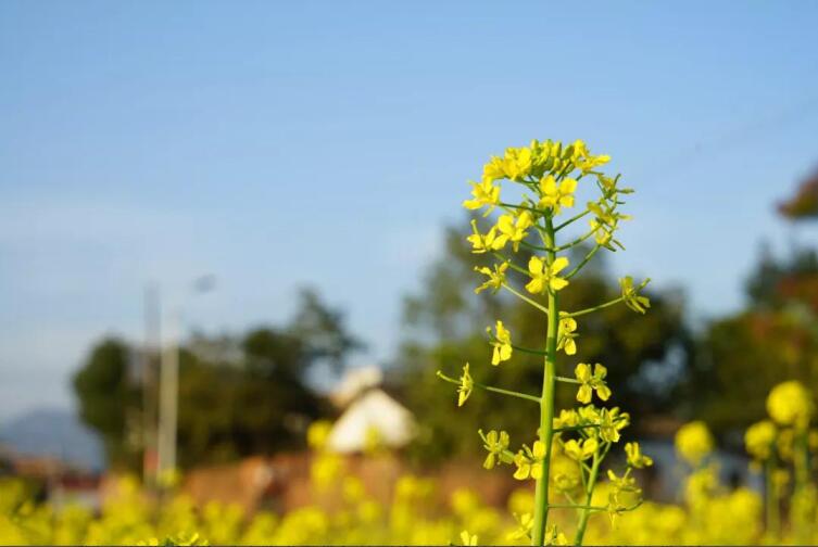 春季該如何預防控制高血壓？
