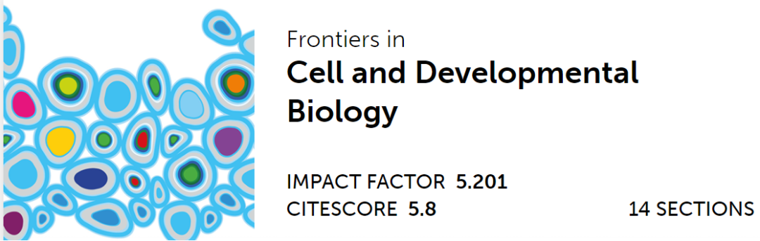 心臟病醫(yī)院王海昌院長科研團(tuán)隊(duì)在心肌病研究領(lǐng)域有新突破！